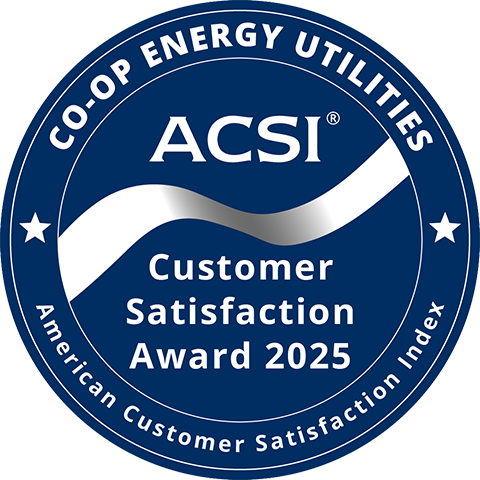 ACSI 2025 Award