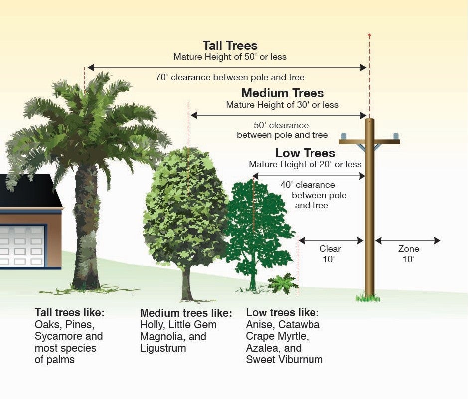 planting guidelines