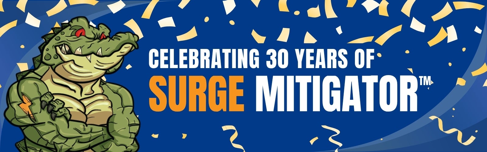 Celebrating30YearsofSurge_HeroImage