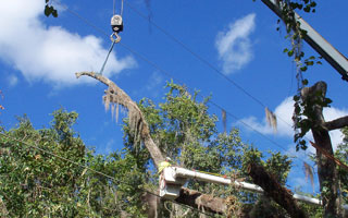SECO Energy Tree Trimming