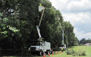 SECO Energy Tree Trimming