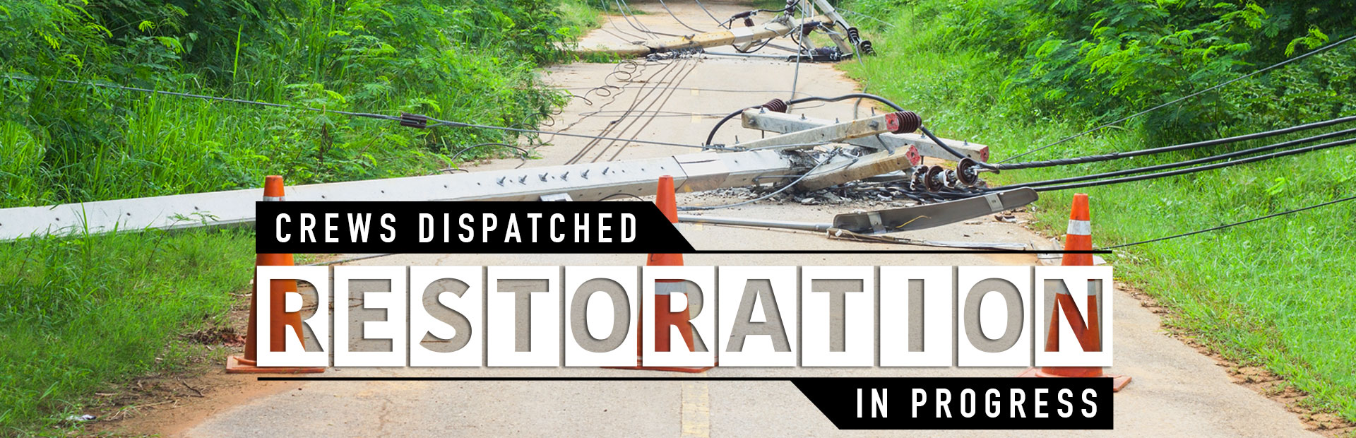 SECO Releases Interactive Restoration Plan Map for Members