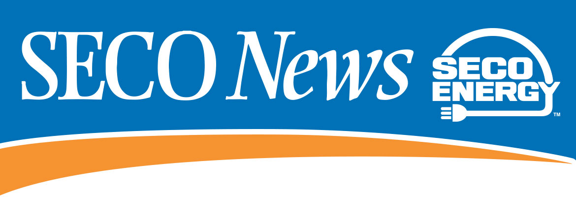 SECO News, November 2016