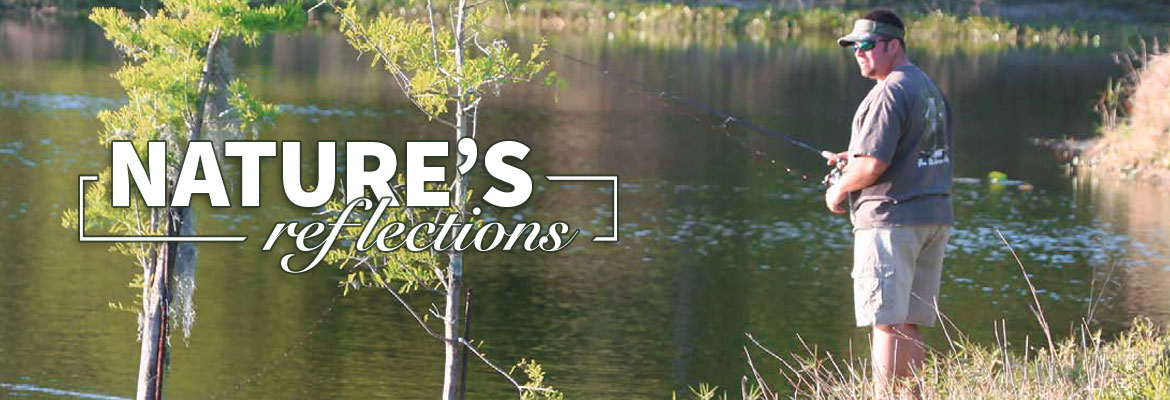 Nature’s Reflections – Backyard Florida