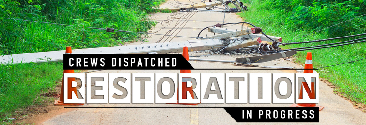 Image result for restoration in progress